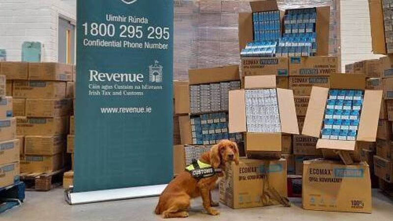 Detector dog Rua helps seize almost €4m worth of illegal cigarettes in Cork Detector dog Rua helps seize almost €4m worth of illegal cigarettes in Cork