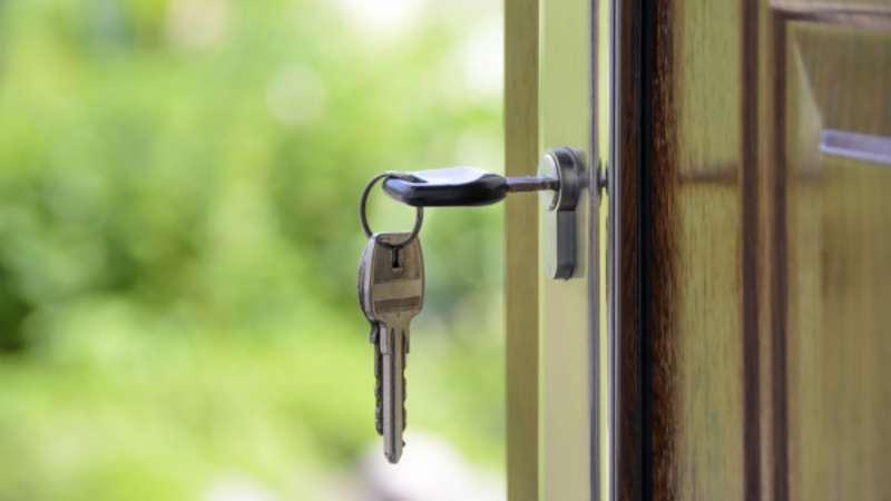 'Failing rental market' is result of 'government inaction' - IPOA 'Failing rental market' is result of 'government inaction' - IPOA