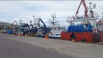 Maritime Cork: Ireland without EU fisheries committee representation