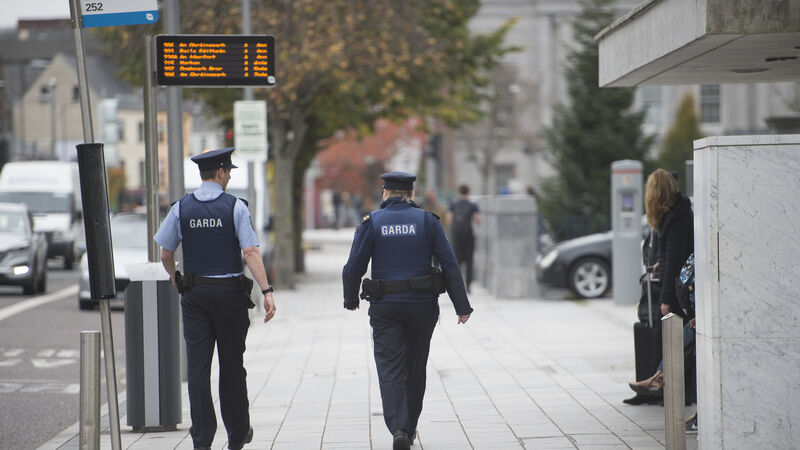Cork received just six new gardaí last year