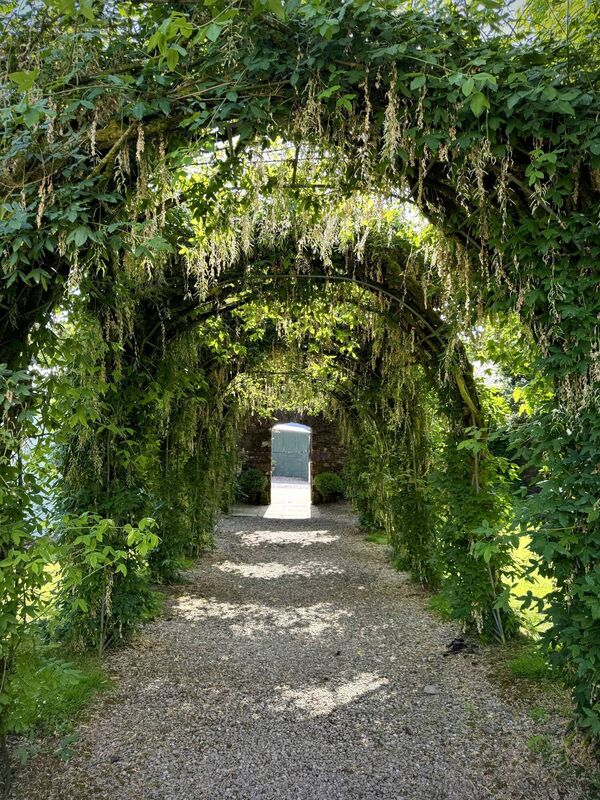The lovely gardens that surround Ballyvolane House and its glamping site.