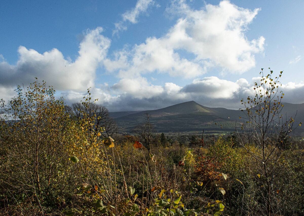 A sunny day in the Galtee Mountains. A sunny day in the Galtee Mountains.