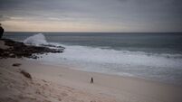 Search continues for French rugby player swept out to sea off South Africa coast