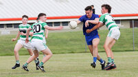 Rebel Óg Minor Football: Mallow and St Finbarr's gunning for semi-final spots