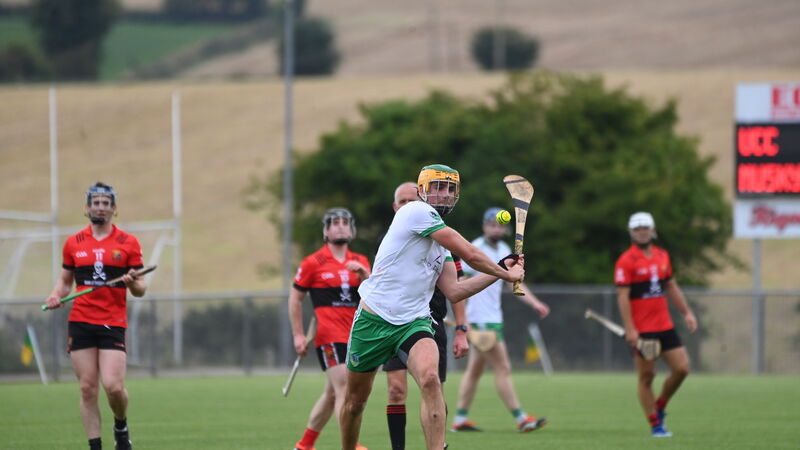 Premier SHC: Matthew Bradley scores two goals as Muskerry progress to divsions/colleges final with win over UCC Premier SHC: Matthew Bradley scores two goals as Muskerry progress to divsions/colleges final with win over UCC