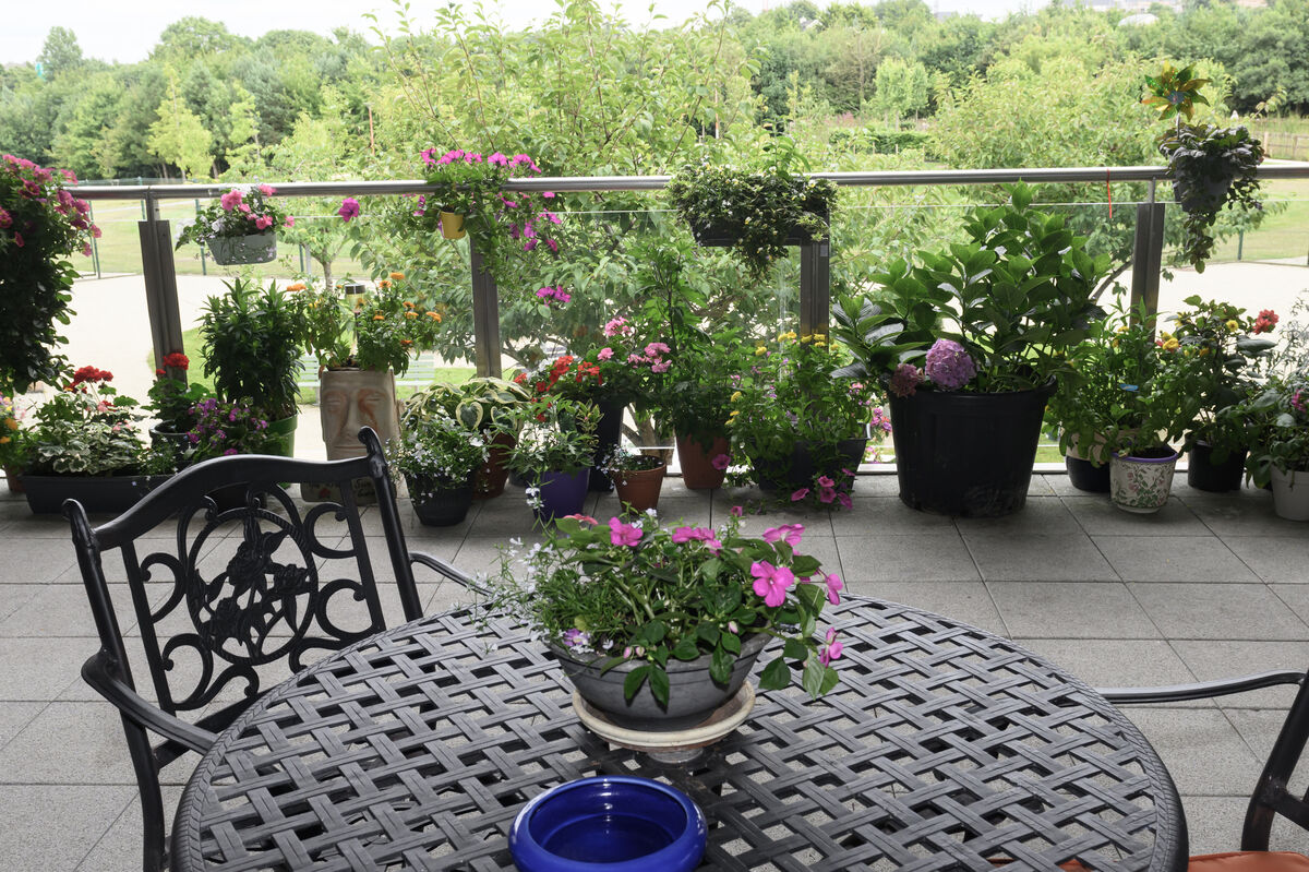 The Rising Sun balcony garden at St. John's at Marymount University Hospital and Hospice, Cork. Picture; Dan Linehan The Rising Sun balcony garden at St. John's at Marymount University Hospital and Hospice, Cork. Picture; Dan Linehan