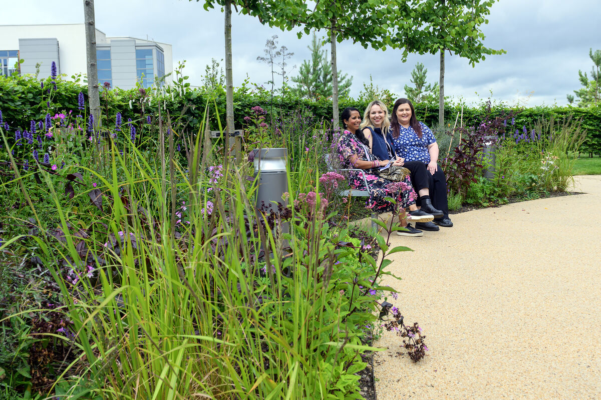 Enid Conway, marketing and fund raising manager, Candice Murphy and Rachel Desmond in the Garden of Reflection. Picture Dan Linehan Enid Conway, marketing and fund raising manager, Candice Murphy and Rachel Desmond in the Garden of Reflection. Picture Dan Linehan