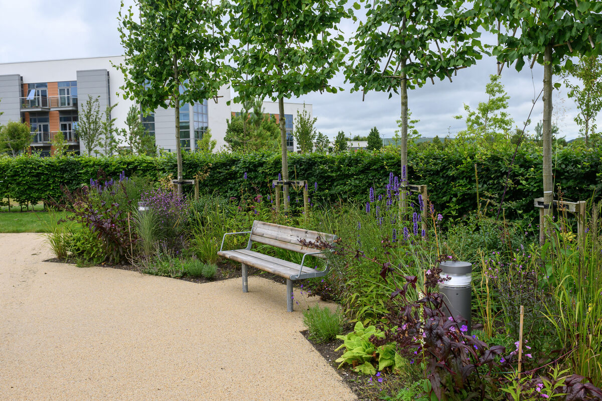 The Garden of Reflection. Picture Dan Linehan The Garden of Reflection. Picture Dan Linehan