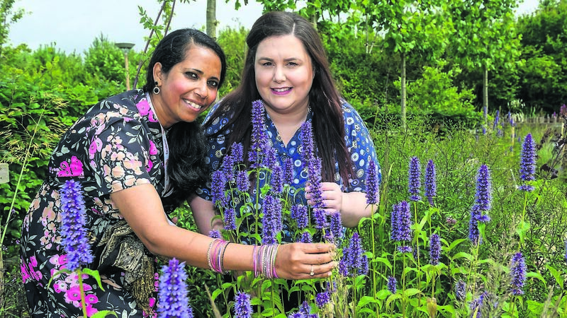 Watch: New garden at Marymount in Cork is sanctuary for patients, staff and families Watch: New garden at Marymount in Cork is sanctuary for patients, staff and families
