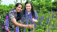 Watch: New garden at Marymount in Cork is sanctuary for patients, staff and families