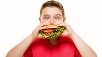 Hamburger and Boy