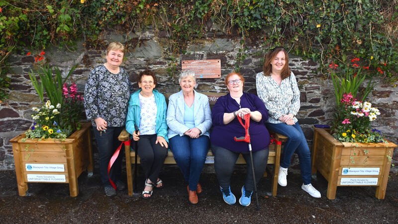 All About Cork: Blackpool Tidy Village is praised for its achievements All About Cork: Blackpool Tidy Village is praised for its achievements