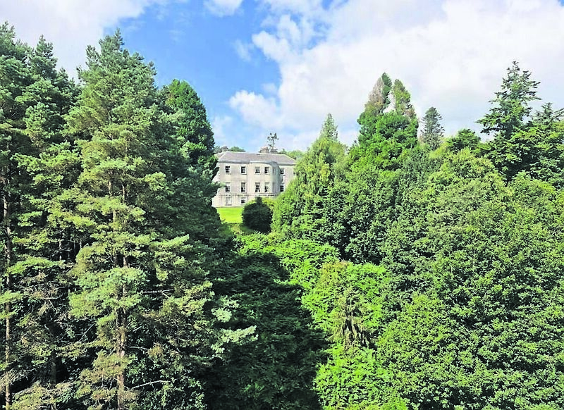 Avondale House amongst the trees.