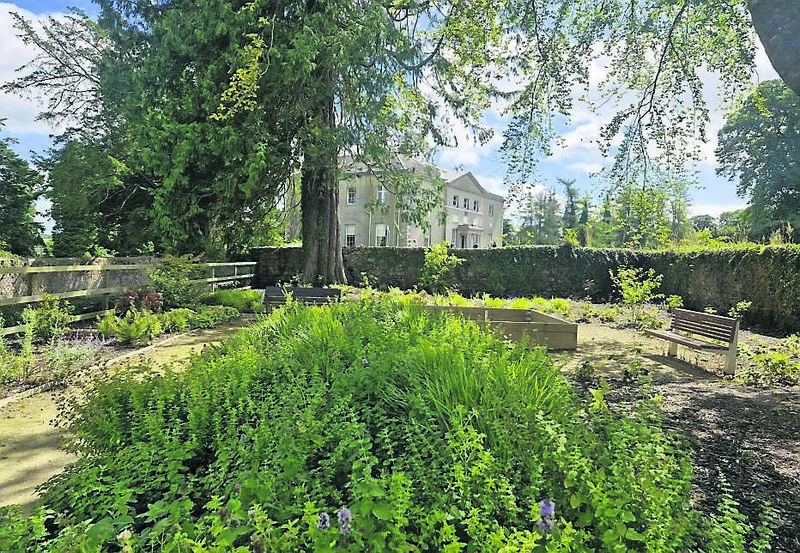 The sensory garden at Avondale.