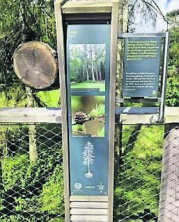Signage detailing European Larch along the tree top walkway at Avondale.
