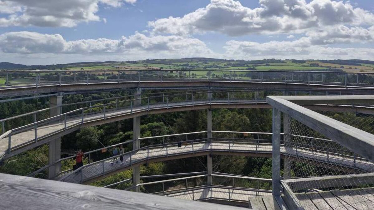 Worth the trip from Cork: Treetop walk was a highlight of house tour