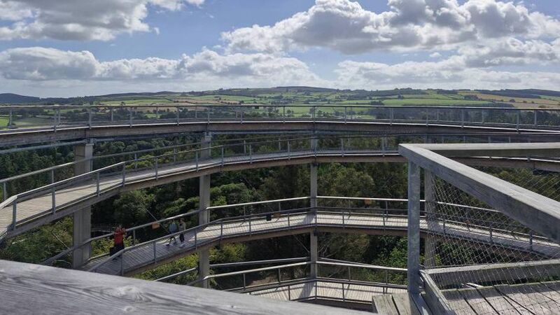 Worth the trip from Cork: Treetop walk was a highlight of house tour Worth the trip from Cork: Treetop walk was a highlight of house tour