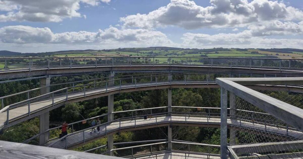 Worth the trip from Cork: Treetop walk was a highlight of house tour