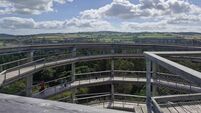 Worth the trip from Cork: Treetop walk was a highlight of house tour