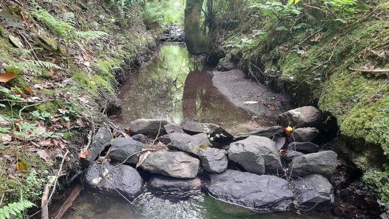 'Nuisance floods' can be protected against says slow water expert ahead of Cork meeting