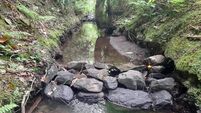 'Nuisance floods' can be protected against says slow water expert ahead of Cork meeting
