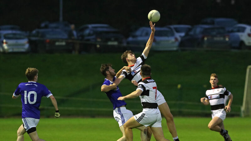 IAFC and Premier JFC wrap: Downey brothers star as St Nick's record crucial win IAFC and Premier JFC wrap: Downey brothers star as St Nick's record crucial win
