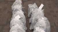 Canadian woman (21) charged with importing cannabis worth €820,000 into Belfast