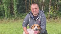 Cork Draghhunting: Kerry springs a big Surprise in Scartaglin