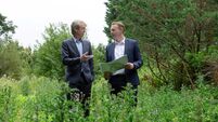 Agreement paves the way for 350 homes at ESB Wilton site