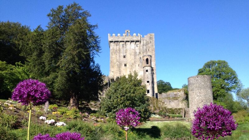 Art exhibition to open at grounds of Blarney Castle Art exhibition to open at grounds of Blarney Castle