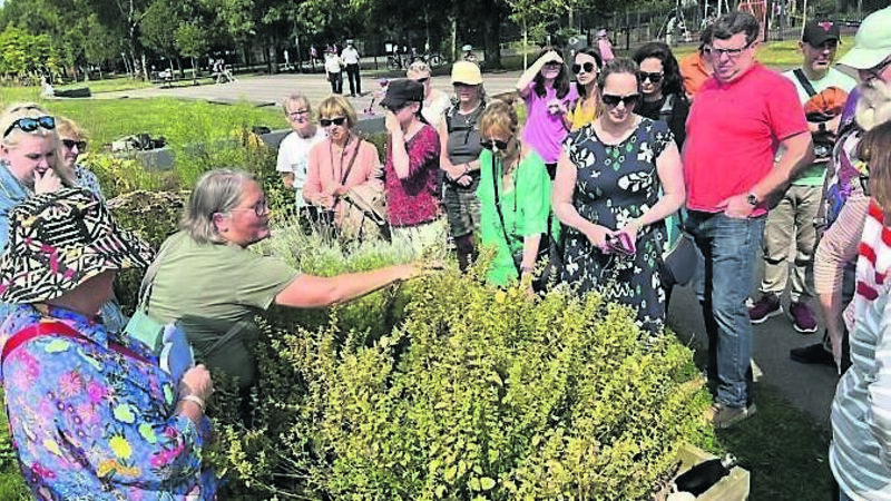 All About Cork: Busy time as Tidy Towns host a number of events
