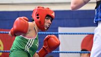 20240318 Golden Gloves Boxing Club Show 2024