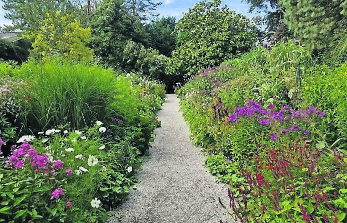 The double sided herbaceous border at Mount Usher. The double sided herbaceous border at Mount Usher.