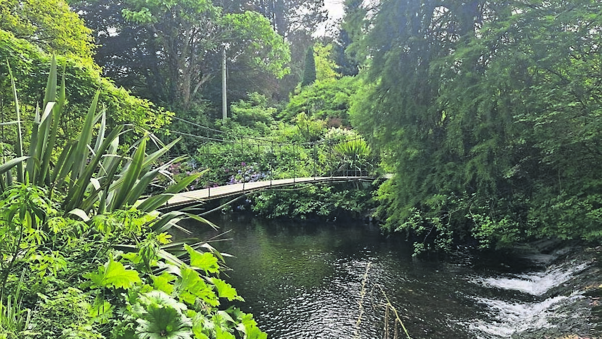 4,500 different varieties of trees, shrubs and plants in this garden