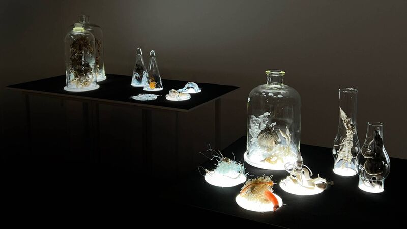 Unnatural Museum to show plastics’ impact