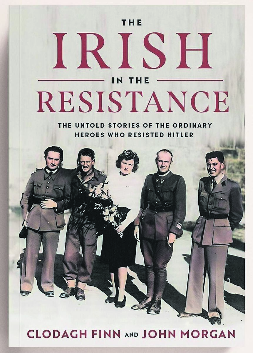 The Irish In The Resistance book