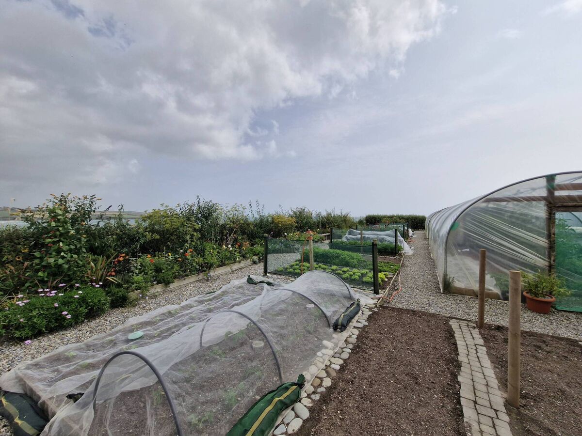 The vegetable and herb garden at Dunmore House Hotel is an inspiration. The vegetable and herb garden at Dunmore House Hotel is an inspiration.