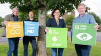Treemetrics and Qarlbo Biodiversity form strategic partnership