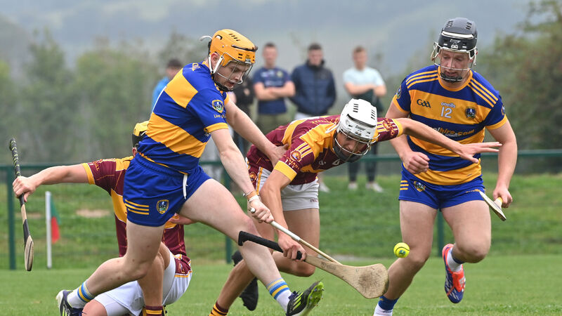 Lisgoold seal IAHC semi spot by sweeping past Youghal Lisgoold seal IAHC semi spot by sweeping past Youghal