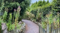 Gardens are a hidden jewel in West Cork