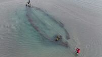 Analysis continues into historical shipwrecks found off Dublin coast
