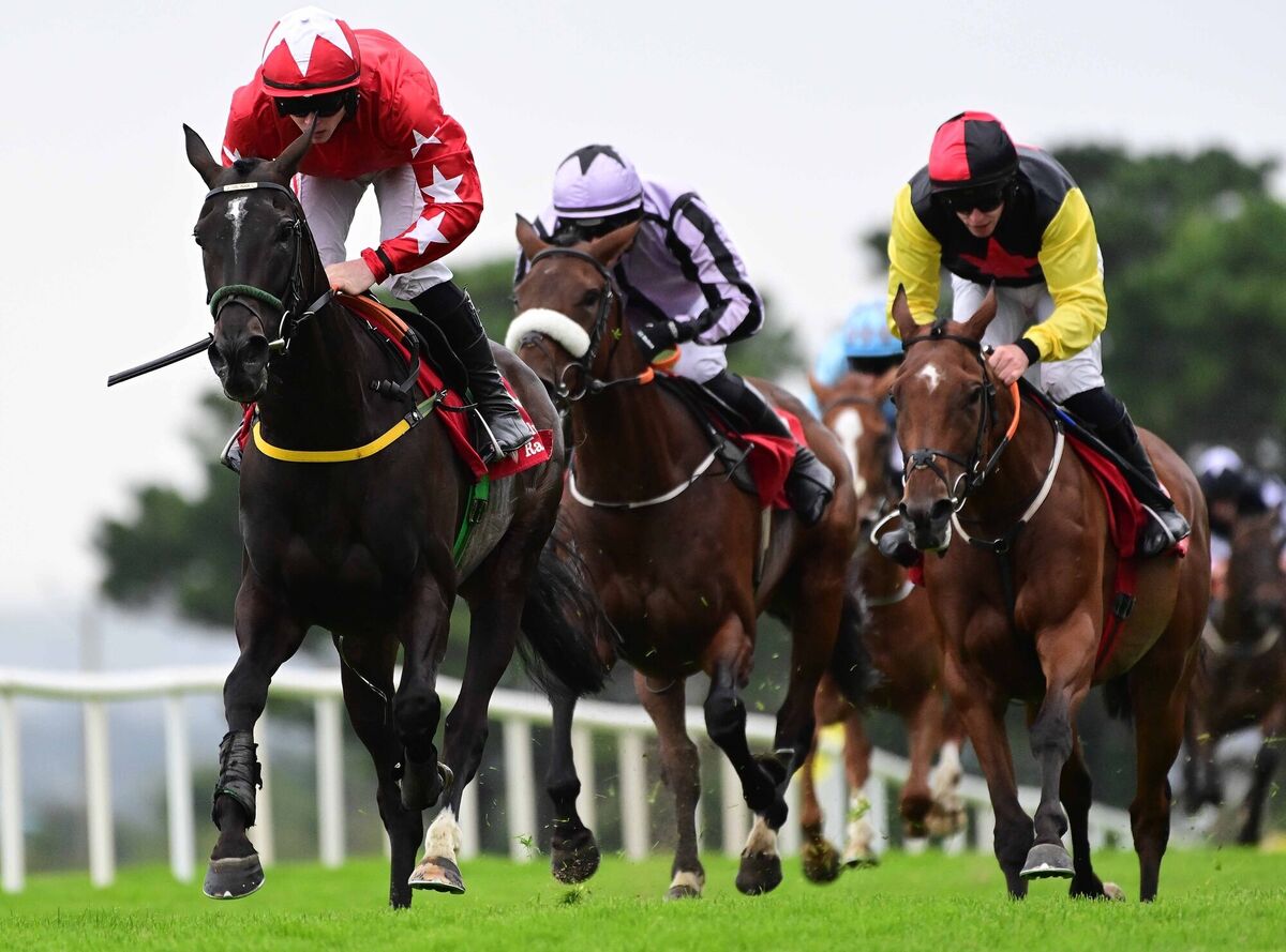 Jesse Evans and Sam Ewing win for owners Jack &amp; Tom Singleton and trainer Noel Meade.