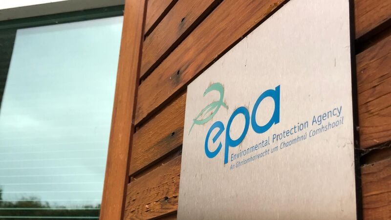 EPA investigates as dead fish spotted at Corkbeg in East Cork 