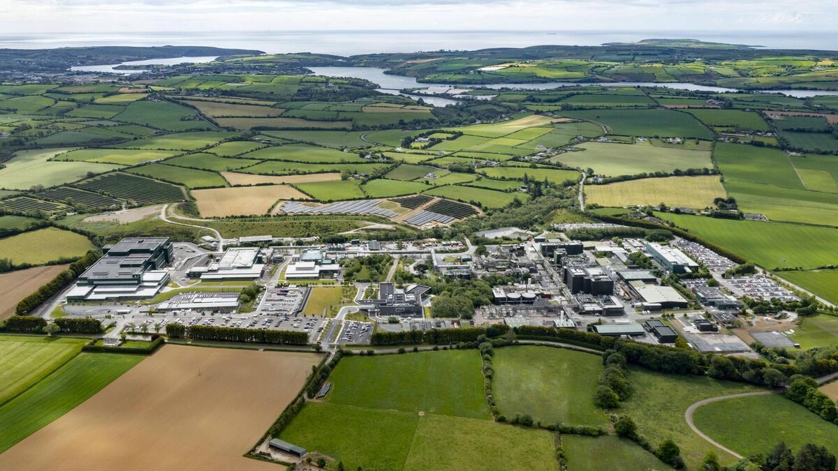 Eli Lilly to officially open new $800m facility expansion in Kinsale