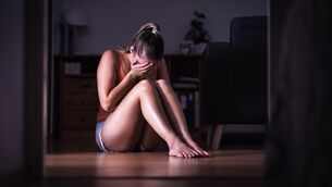 <p>Domestic violence is a significant issue. Irish figures show that 15% of women and 6% of men have experienced extremely abusive behaviour by a partner at some point.</p>