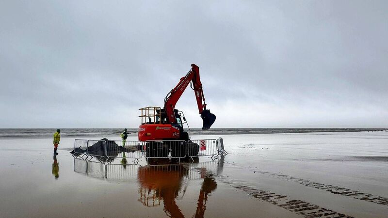 Archaeological dig to get underway at Cork beach this month Archaeological dig to get underway at Cork beach this month