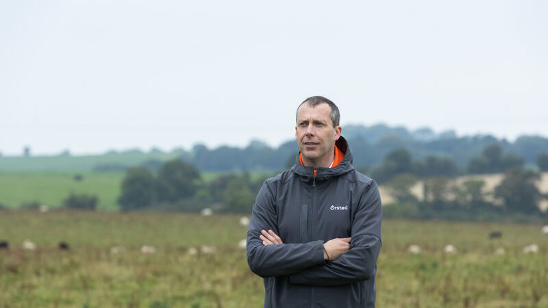 Proposed solar farm for Carrigaline area now a step closer