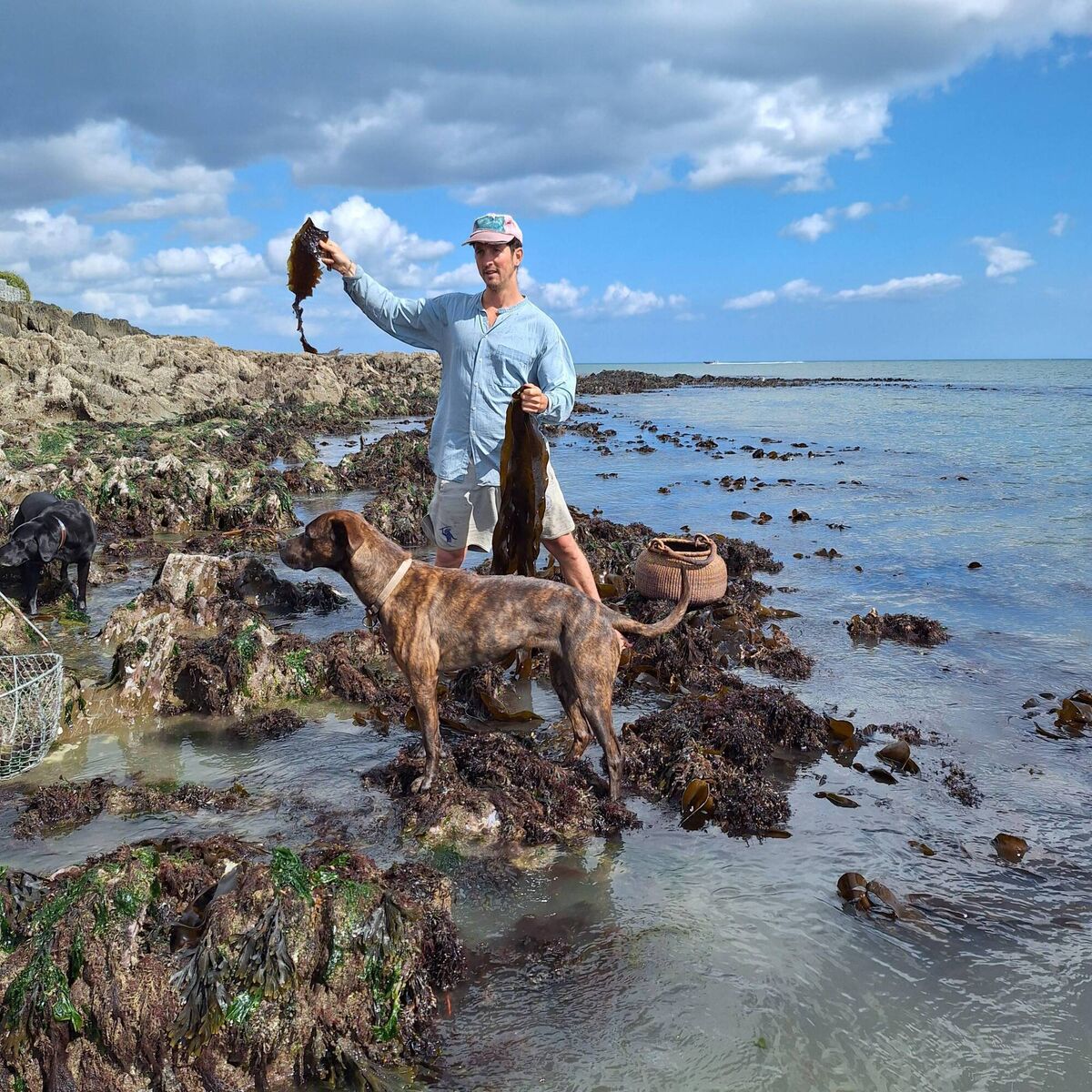 armel Wright attended an invitation from the Climate Ambassador programme to attend a seaweed foraging event at Fountainstown Beach. Picture: Daithí Brooks