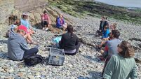 Foraging for seaweed on a  Cork beach -  here's what I learned...