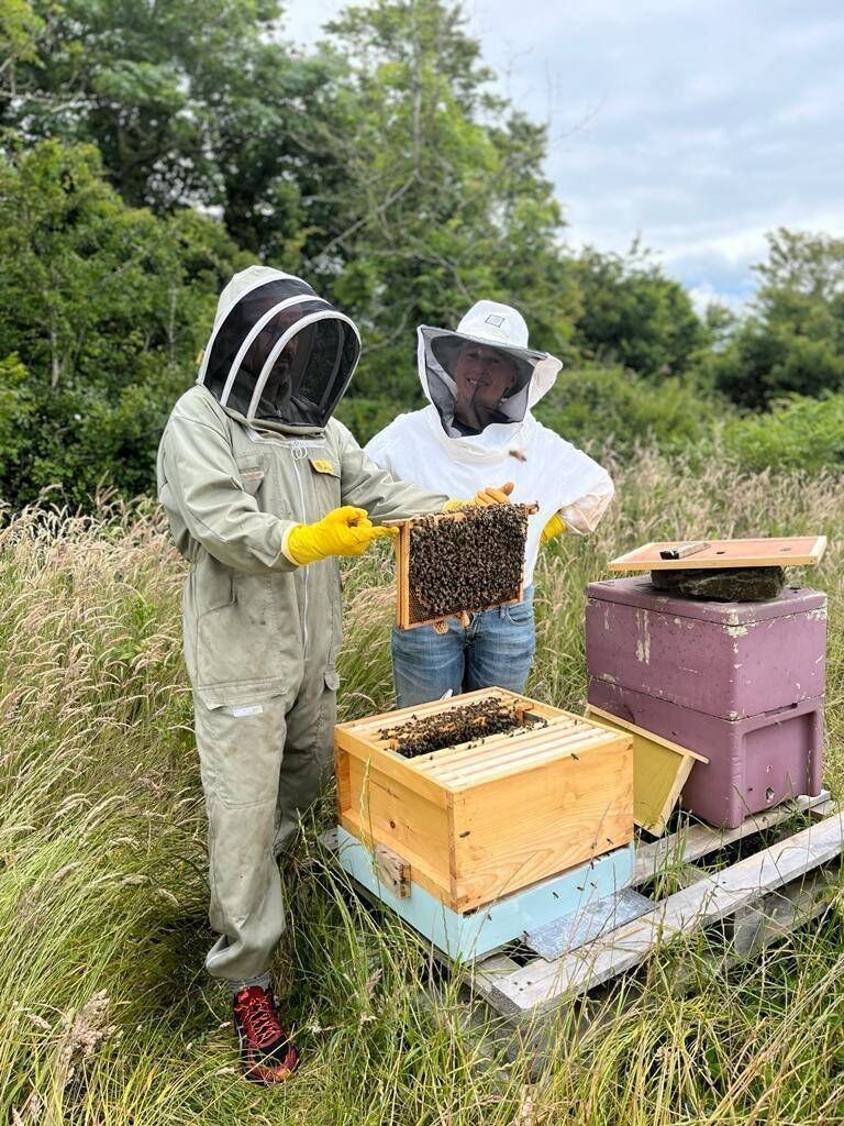 Kate at work in the hive.